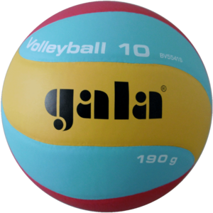 Gala Volleybal Jeugd V180 BV 5541S Indoor 