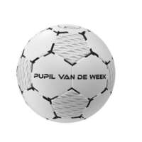 Rebel 2 Voetbal Pupil van de week