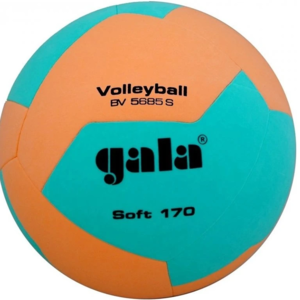 Gala Volleybal Jeugd 170gr Groen Lila BV5685S