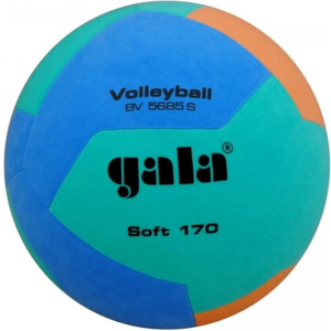 Gala Volleybal Jeugd 170gr Groen Lila BV5685S