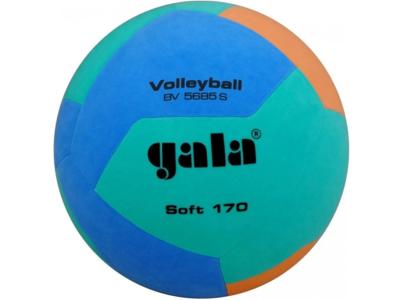Gala Volleybal Jeugd 170gr Groen Lila BV5685S