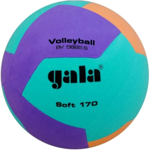 Gala Volleybal Jeugd 170gr Groen Lila BV5685S
