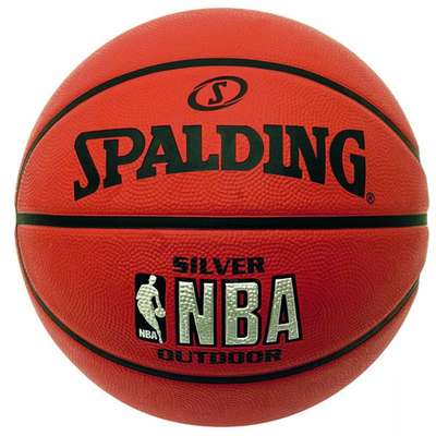 Spalding NBA Silver outdoor