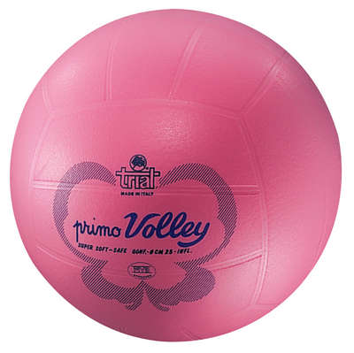 Trial Butterfly (first) Volleybal 24 cm (BV15)