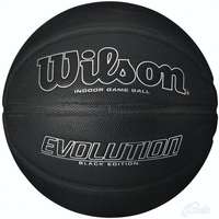 Wilson Evolution Indoor Basketbal 