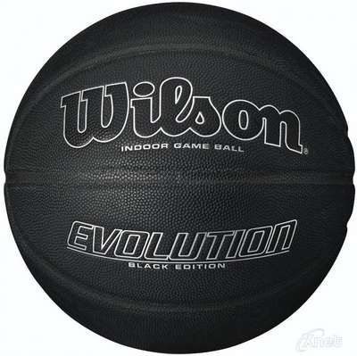 Wilson Evolution Indoor Basketbal 