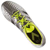 ACE 16.1 FG