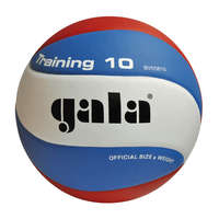 Gala Volleybal Training 10