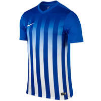 Nike Striped Divisie II Trikot