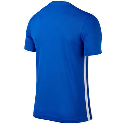 Nike Striped Divisie II Trikot