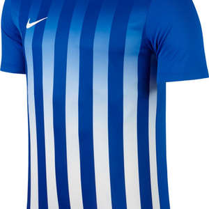 Nike Striped Divisie II Trikot