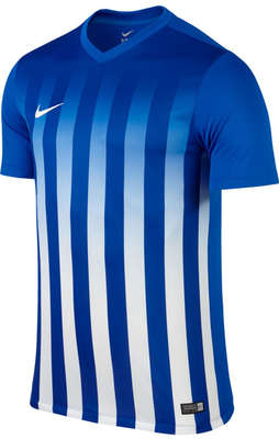 Nike Striped Divisie II Trikot