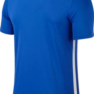Nike Striped Divisie II Trikot