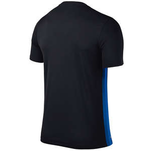 Nike Striped Divisie II Jersey