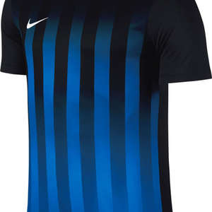 Nike Striped Divisie II Jersey
