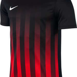 Nike Striped Divisie II Jersey