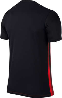 Nike Striped Divisie II Jersey