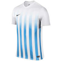 Nike Striped Divisie II Jersey