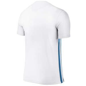 Nike Striped Divisie II Jersey