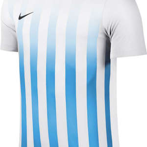 Nike Striped Divisie II Jersey