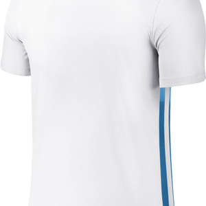 Nike Striped Divisie II Jersey