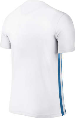 Nike Striped Divisie II Jersey