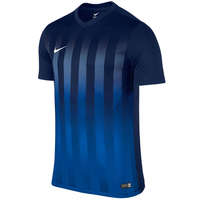 Nike Striped Divisie II Jersey