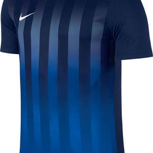 Nike Striped Divisie II Jersey