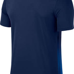 Nike Striped Divisie II Jersey