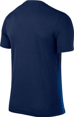 Nike Striped Divisie II Jersey