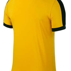 Nike Striker IV Jersey