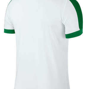 Nike Striker IV Jersey