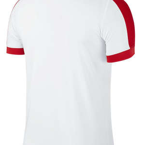 Nike Striker IV Jersey