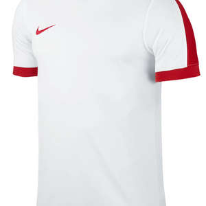 Nike Striker IV Jersey