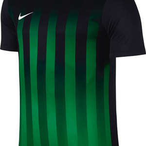Nike Striped Divisie II Jersey