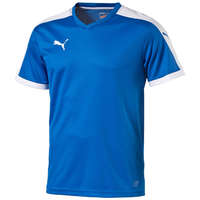 Puma Pitch Shortsleeved Shirt