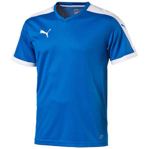 Puma Pitch Shortsleeved Shirt