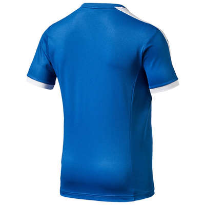 Puma Pitch Shortsleeved Shirt