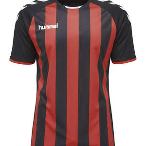 Hummel JERSEY 1/2 Core gestreepte jersey ss