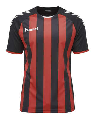 Hummel JERSEY 1/2 Core gestreepte jersey ss