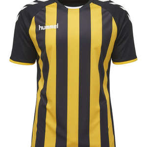 Hummel JERSEY 1/2 Core gestreepte jersey ss