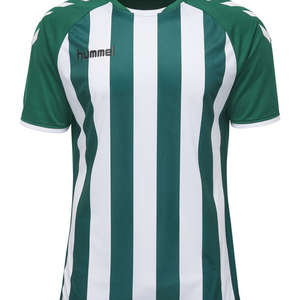 Hummel JERSEY 1/2 Core gestreepte jersey ss