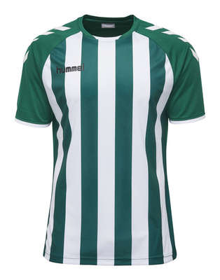 Hummel JERSEY 1/2 Core gestreepte jersey ss