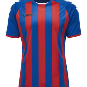 Hummel JERSEY 1/2 Core gestreepte jersey ss