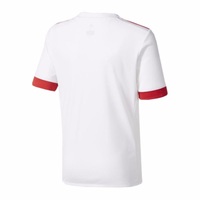 Bayern UCL Jersey 17/18