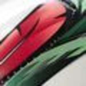Adidas Conext15 Top Glider Voetbal