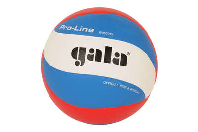 GALA Volleybal Pro-line 5591S10 
