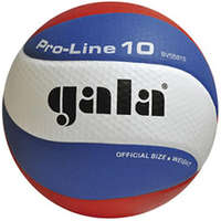 GALA Volleybal Pro-line 5581S10