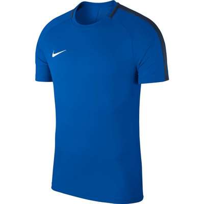 Nike Academy 18 Top