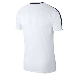 NIKE Shirt Nike Dry Academy 18 SS Top 893693-100
